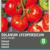 Intratuin Tomate (Solanum lycopersicum 'St. Pierre') Samen