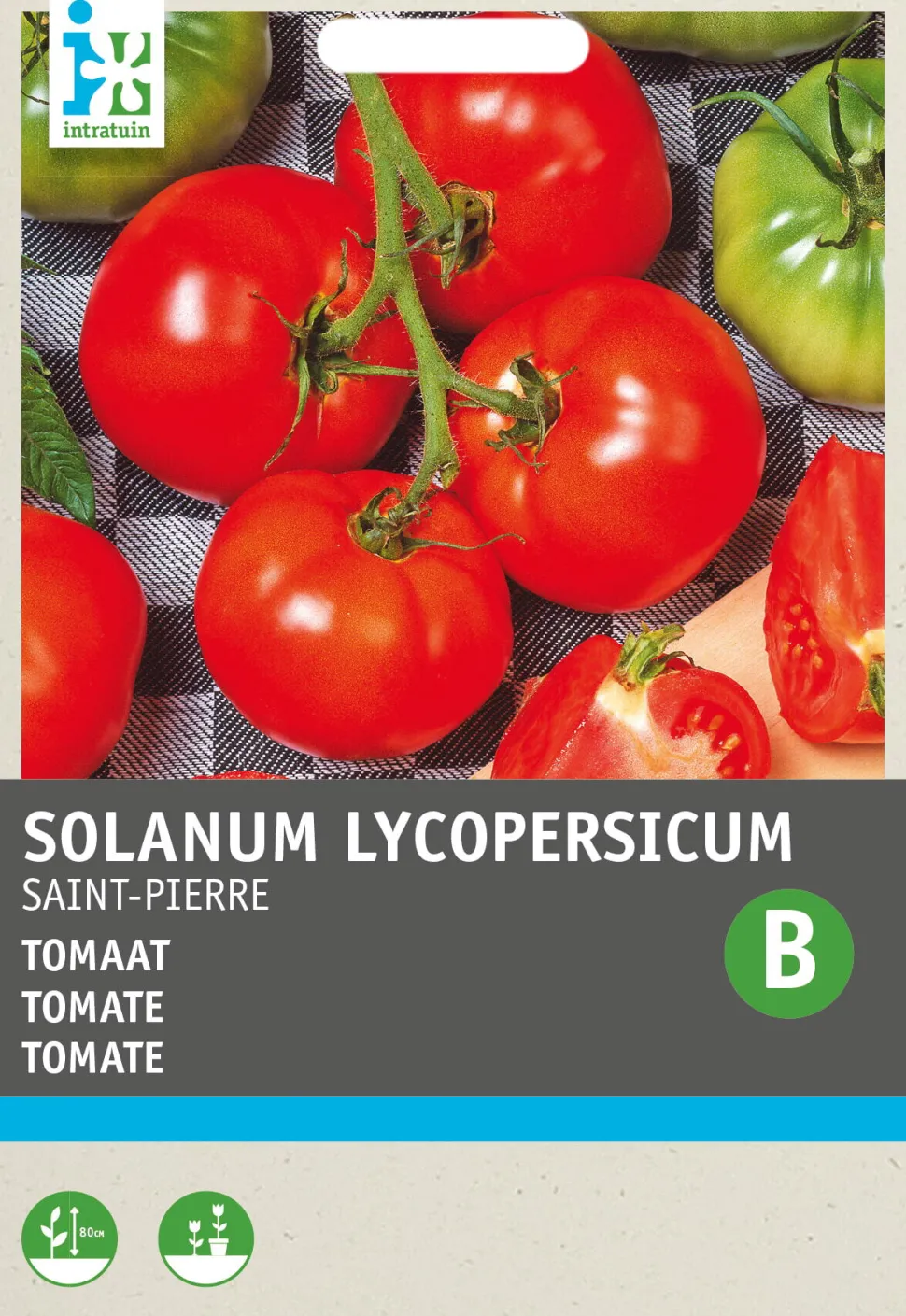 Intratuin Tomate (Solanum lycopersicum 'St. Pierre') Samen