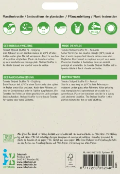 Intratuin Tomaten (Lycopersicon esculentum 'Striped Stuffer' F1) Samen