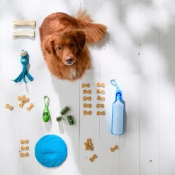 Intratuin tragbare Trinkflasche blau 750 ml