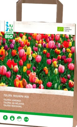 Intratuin Tulp (Tulipa 'Triumph') gemischt (BIO) Blumenzwiebeln 15 St.