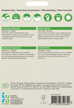 Intratuin Tulpenmohn rot mit Fleck (Papaver glaucum) Blumensamen