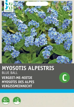 Intratuin Vergissmeinnicht (Myosotis alpestris 'Blue ball') Blumensamen