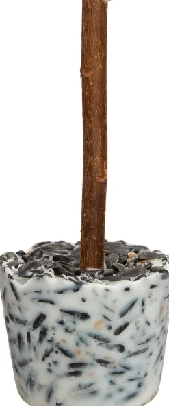 Intratuin Vogelfutter Lolly 16 x 6,4 x 15,9 cm 3 St.