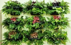 Intratuin Wand-Blumentopf schwarz 50 x 26 x 21,5 cm