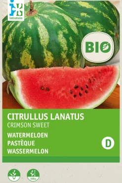 Intratuin Wassermelone Samen (Citrullus lanatus 'Crimson Sweet') (BIO) Samen