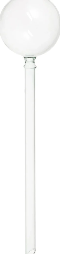 Intratuin Wasserspender Romy transparent D 7 H 30 cm