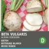Intratuin Weiße Rübe (Beta vulgaris 'Albina Vereduna') Samen