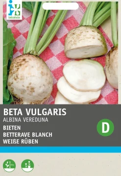 Intratuin Weiße Rübe (Beta vulgaris 'Albina Vereduna') Samen