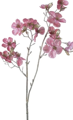 Intratuin Weihnachtsblume Pfirsichblüte rosa H 50 cm