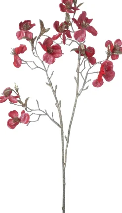 Intratuin Weihnachtsblume Pfirsichblüte rot H 50 cm