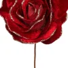 Intratuin Weihnachtsblume Rose rot D 20 H 11 cm