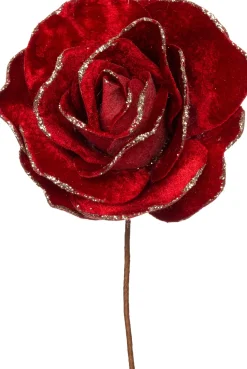Intratuin Weihnachtsblume Rose rot D 20 H 11 cm