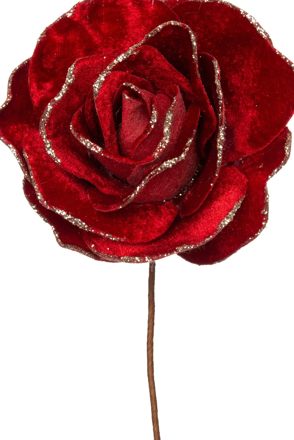 Intratuin Weihnachtsblume Rose rot D 20 H 11 cm