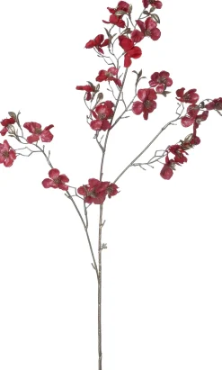 Intratuin Weihnachtsblume Pfirsichblüte rot H 87 cm