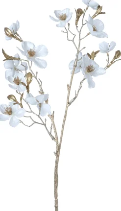 Intratuin Weihnachtsblume Pfirsichblüte weiß H 50 cm