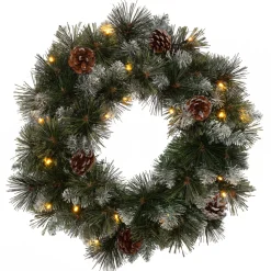 Intratuin Weihnachtskranz beschneit D 45 H 12 cm mit 20 LEDs warmweiß