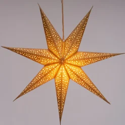 Intratuin Weihnachtsstern Djema gold mit Beleuchtung D 75 H 14 cm