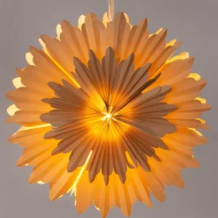 Intratuin Weihnachtsstern beleuchtet D 50 cm braun