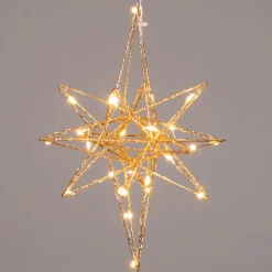 Intratuin Weihnachtsstern Yvan gold beleuchtet mit 25 LEDs warmweiß D 21 H 25 cm