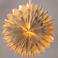 Intratuin Weihnachtsstern beleuchtet D 50 cm creme