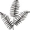 Intratuin Weihnachtszweig Farn schwarz 78 cm