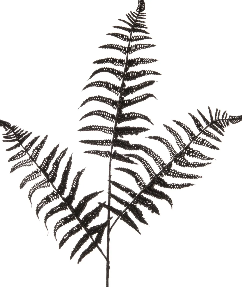 Intratuin Weihnachtszweig Farn schwarz 78 cm