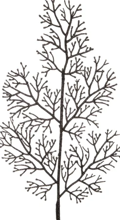 Intratuin Weihnachtszweig Koralle schwarz 45 cm