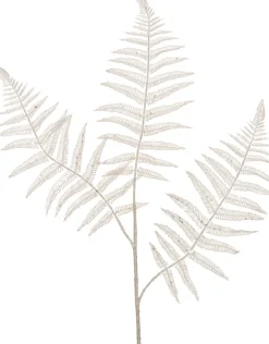 Intratuin Weihnachtszweig Farnblatt weiß 78 cm