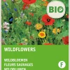 Intratuin Wildblumen (BIO) Blumensamen-Mischung