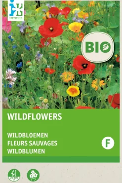 Intratuin Wildblumen (BIO) Blumensamen-Mischung