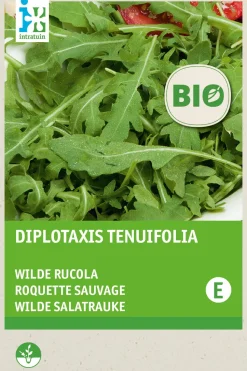 Intratuin Wilder Rucola (Diplotaxis tenuifolia) (BIO) Samen