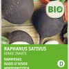 Intratuin Winterrettich (Raphanus sativus 'Ronde Zwarte') (BIO) Samen