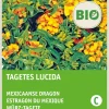 Intratuin Würz-Tagetes (Tagetes lucida) (BIO) Samen