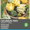 Intratuin Zierkürbis (Cucurbita 'Crown of Thorns') Samen