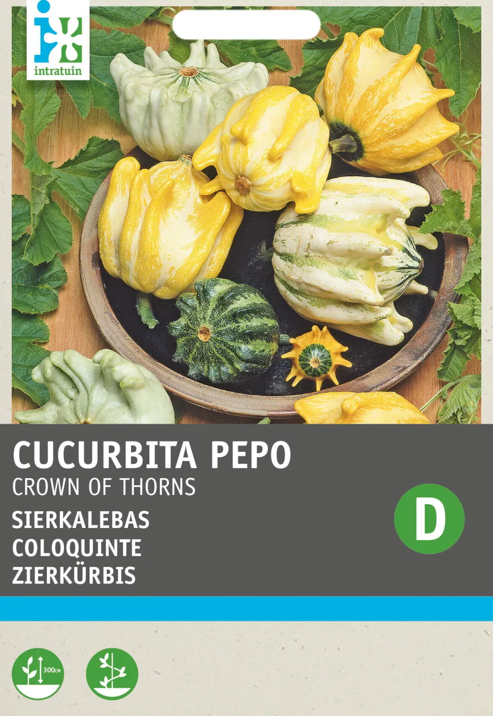 Intratuin Zierkürbis (Cucurbita 'Crown of Thorns') Samen