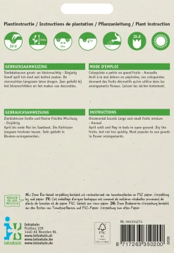 Intratuin Zierkürbis (Cucurbita pepo) Samen-Mischung