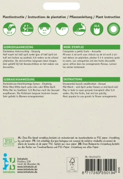 Intratuin Zierkürbis klein (Cucurbita pepo) Samen-Mischung