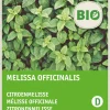Intratuin Zitronenmelisse (Melissa officinalis) (BIO) Samen