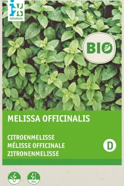 Intratuin Zitronenmelisse (Melissa officinalis) (BIO) Samen