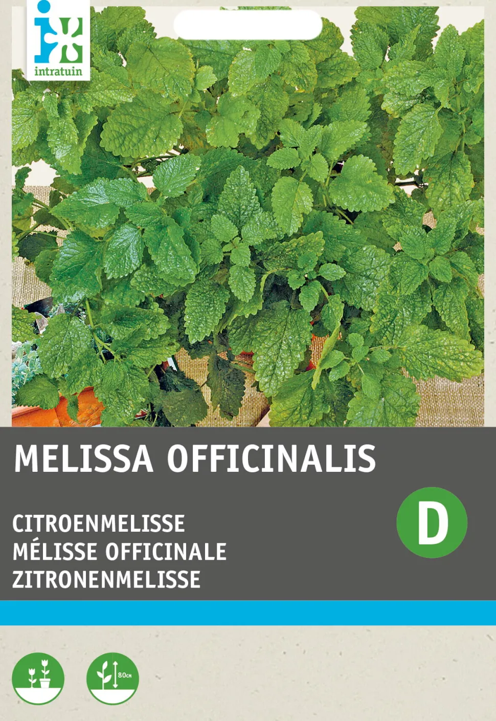 Intratuin Zitronenmelisse (Melissa officinalis) Samen