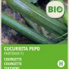 Intratuin Zucchini (Curcurbita pepo 'Partenon F1') (BIO) Samen