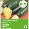 Intratuin Zucchini (Curcurbita pepo 'Black Beauty') (BIO) Samen