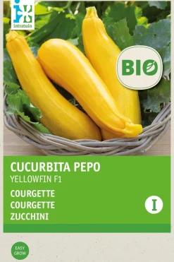 Intratuin Zucchini gelb (Curcurbita pepo 'Yellowfin') (BIO) Samen