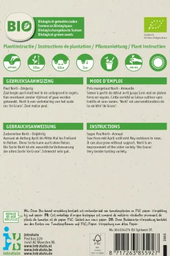 Intratuin Zuckererbse (Pisum sativum 'Norli') (BIO) Samen