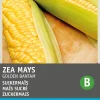 Intratuin Zuckermais (Zea mays 'Golden Bantam') Samen