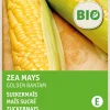 Intratuin Zuckermais (Zea mays 'Golden Bantam') (BIO) Samen