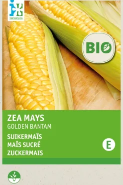Intratuin Zuckermais (Zea mays 'Golden Bantam') (BIO) Samen