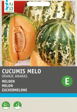 Intratuin Zuckermelone (Cucumis melo 'Oranje Ananas') Samen