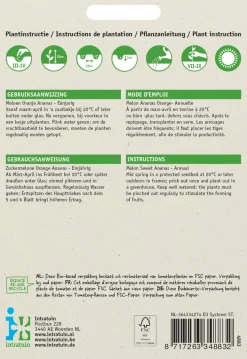 Intratuin Zuckermelone (Cucumis melo 'Oranje Ananas') Samen